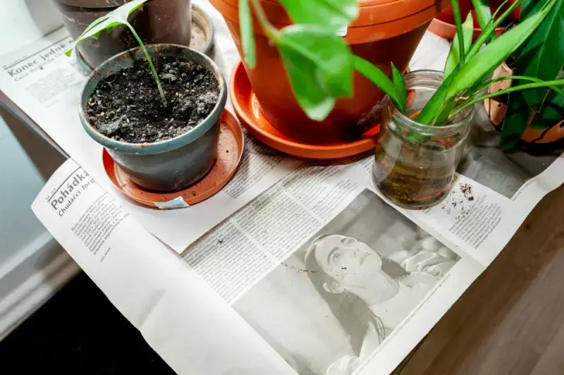 Offline Club No. 1 – Introductory Meeting & Repotting Workshop — photo 1