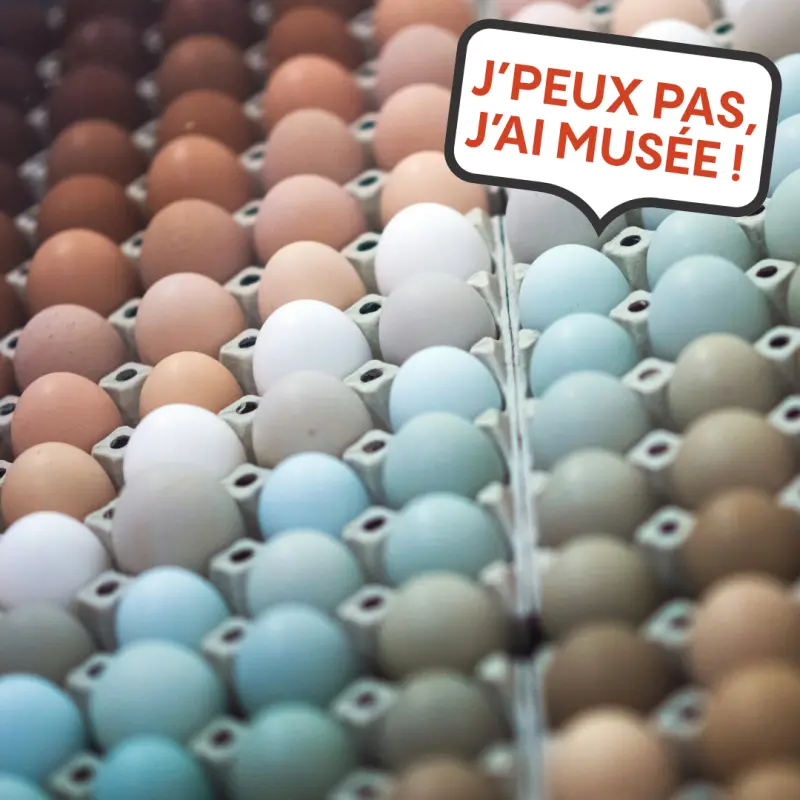 November: Something's happening at the Museum! Join in — photo 1