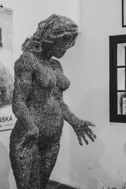 Veronika Psotková - In Search of Zen — photo 1