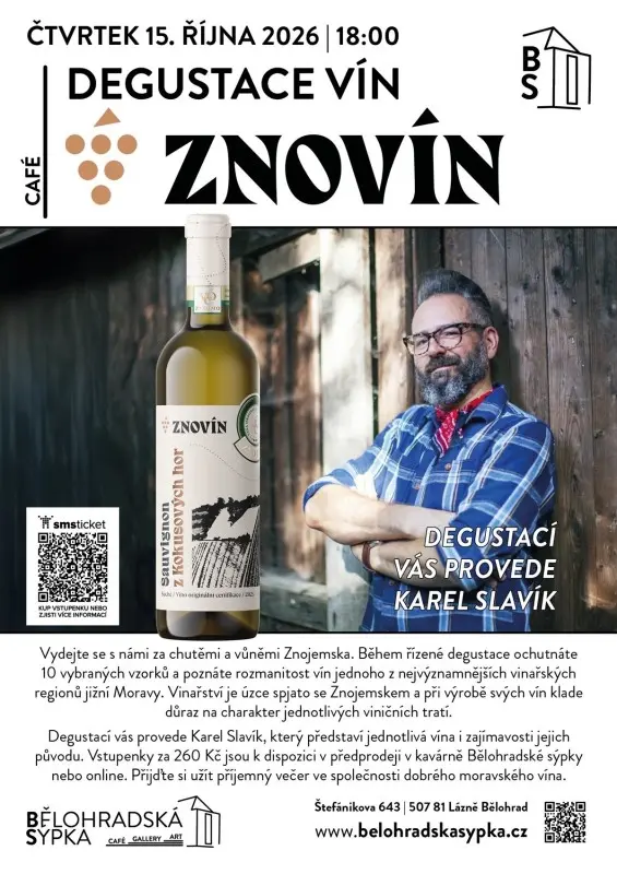 Degustace vín Znovín — photo 1