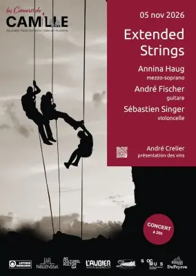 Extended strings : Concert — photo 1