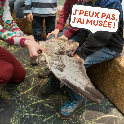 In November "J’peux pas, j’ai musée!": the workshop — photo 1