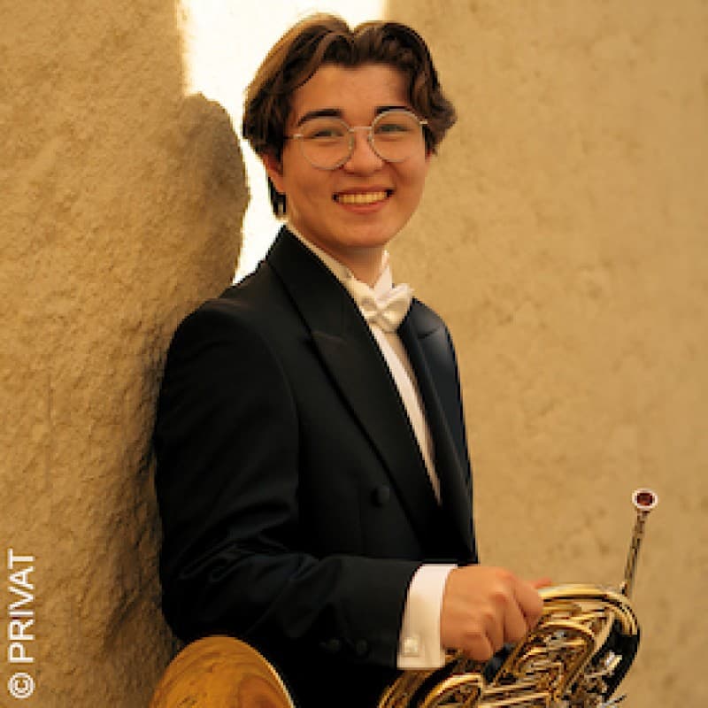 What is a horn doing in front of the orchestra? — photo 1