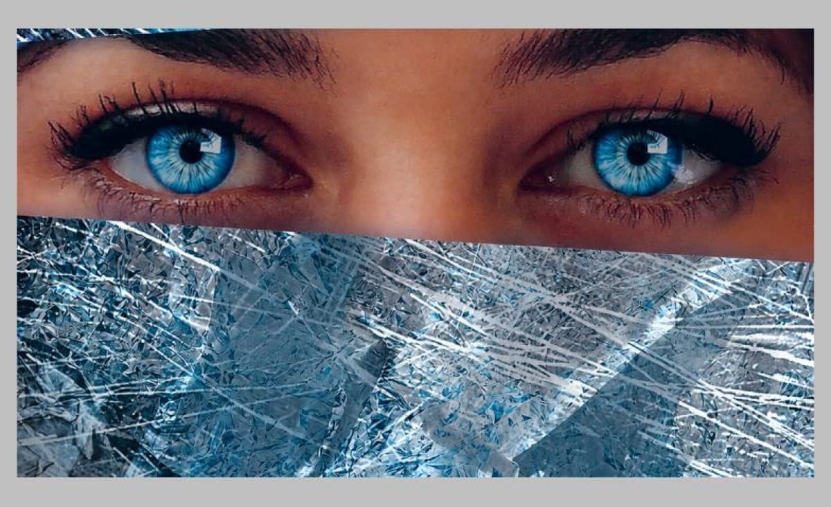 Sophia oder das Ende der Humanisten — photo 1