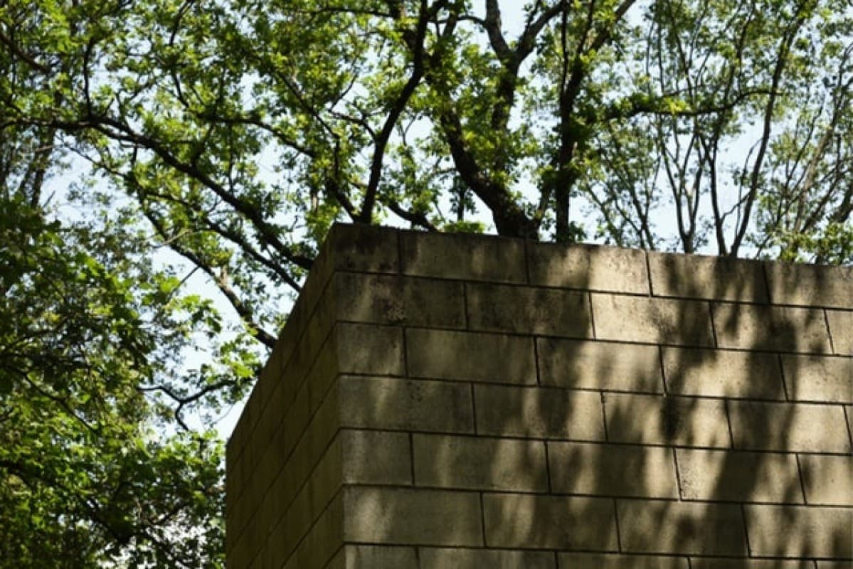 Visita Collezione Arte Ambientale e Giardini Storici — photo 1