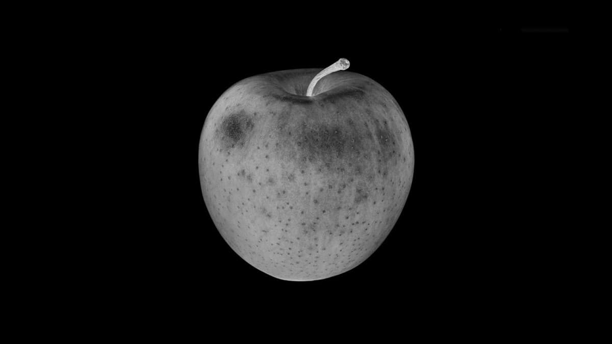 Paulo Wirz: Sistema Mestre — photo 1