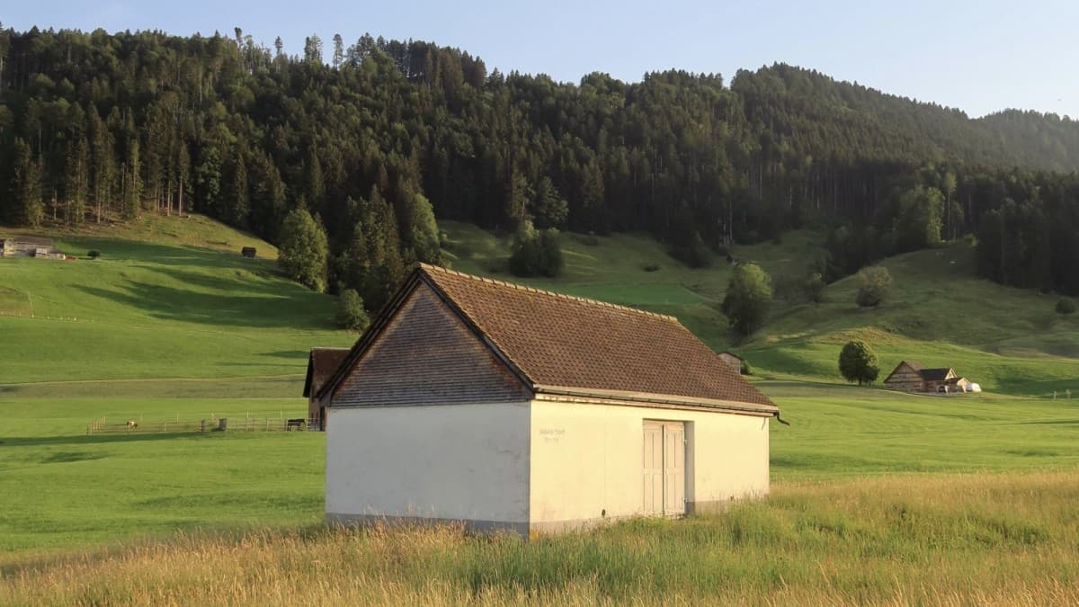 Rohzustand * État brut — photo 1