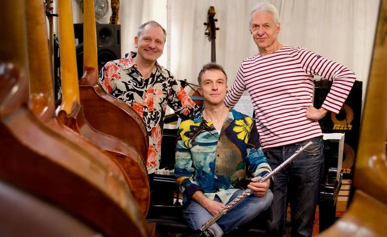 Trio Pintassilgos — photo 1
