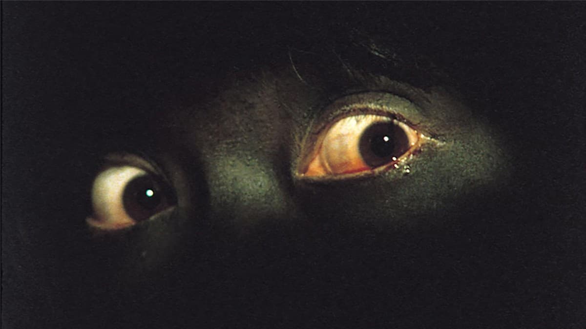 Pretty Scary Things: 4x Horror — photo 1