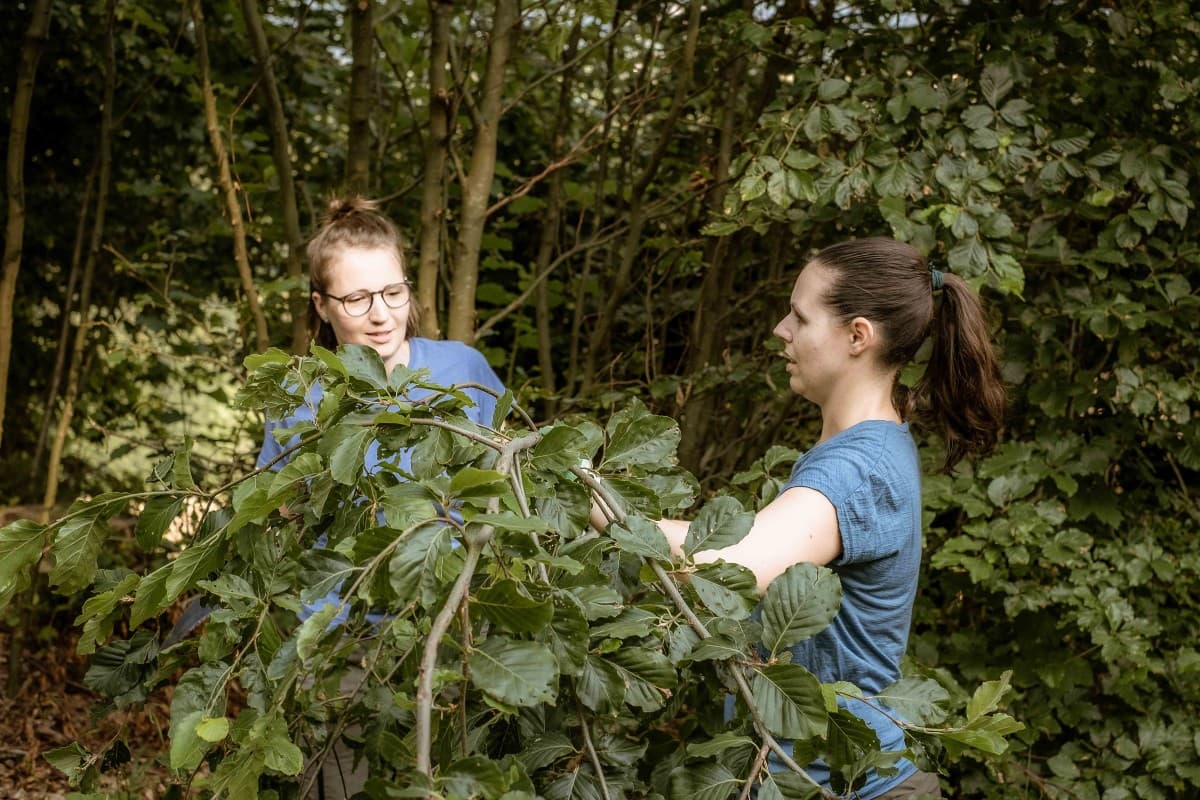 Autumn Garden Course in Wattenwil — photo 1