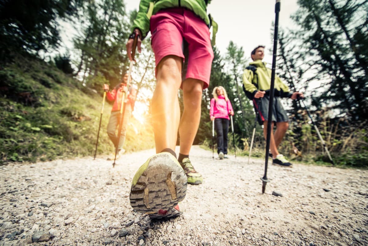Power Nordic-Walking — photo 1
