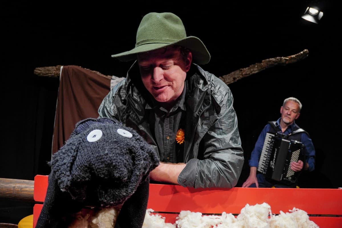 The Little Black Sheep — photo 1