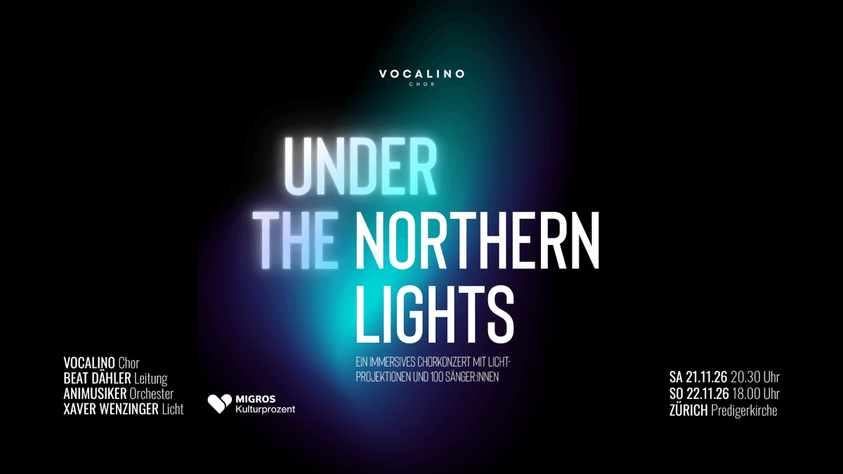 Under the Northern Lights — photo 1