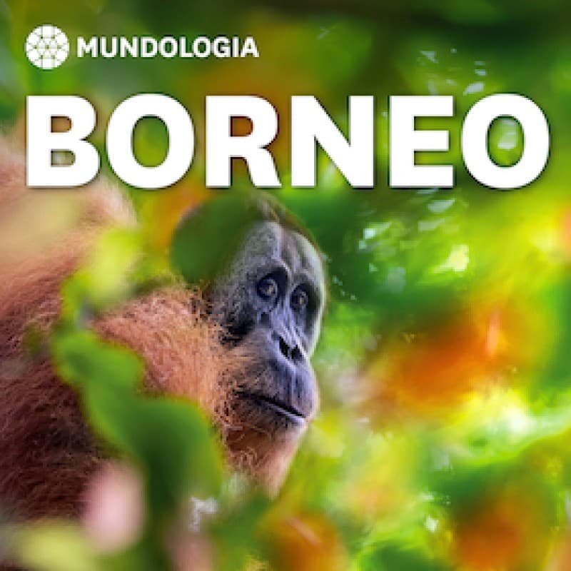 MUNDOLOGIA: Borneo — photo 1