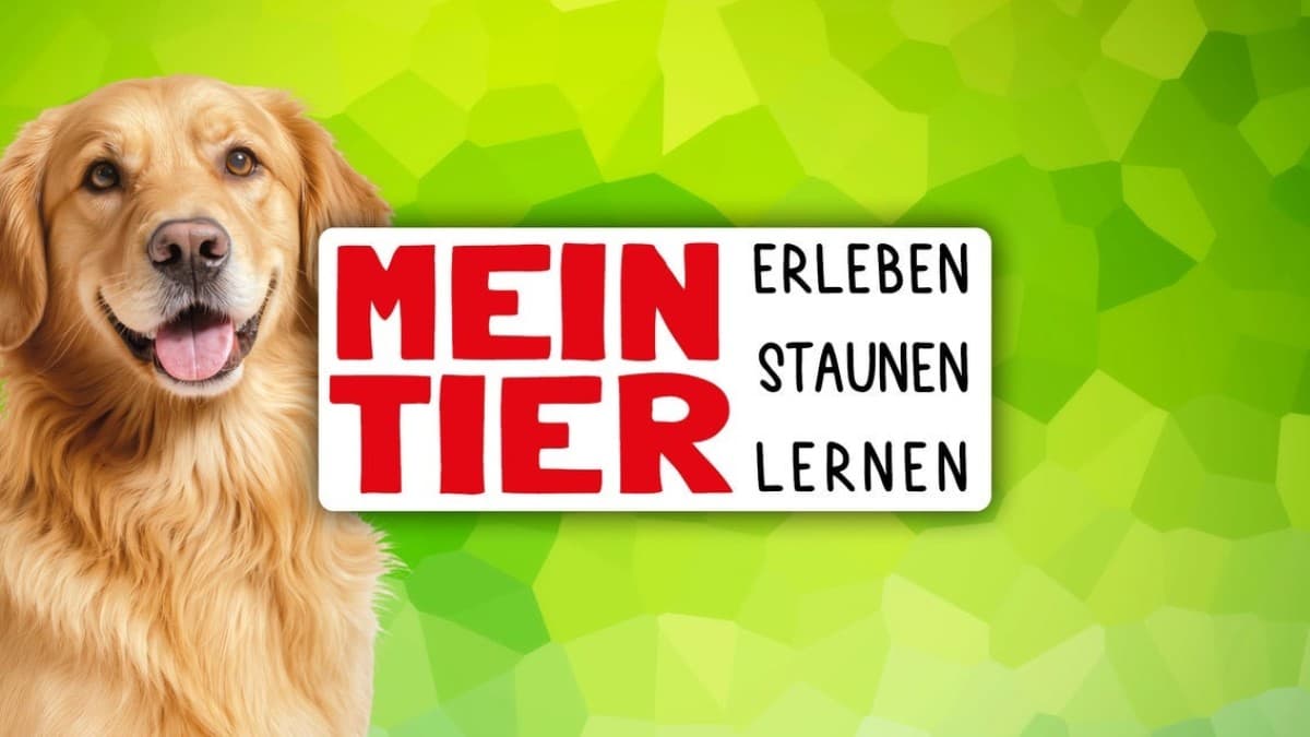 Mein Tier — photo 1