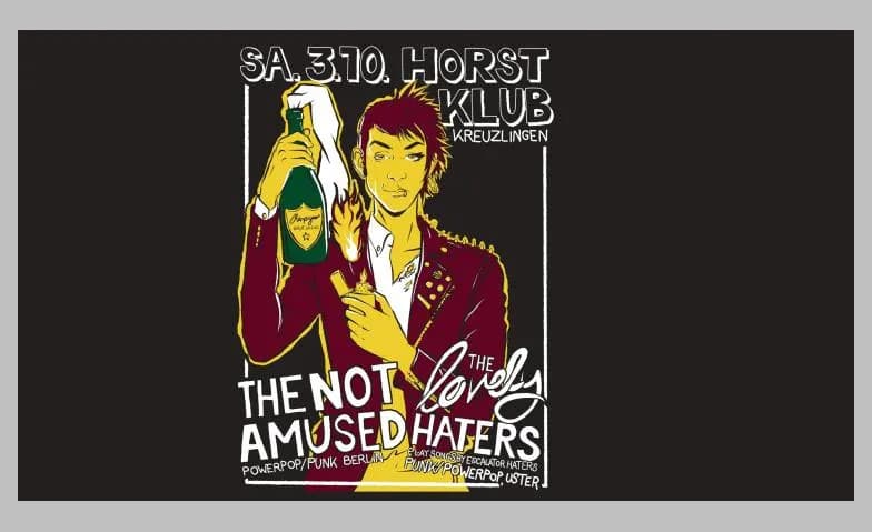 THE NOT AMUSED & THE LOVELY HATERS — photo 1