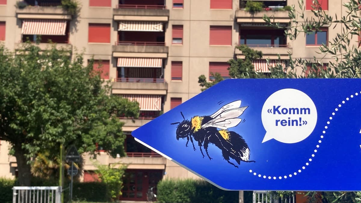 Bombus is looking for a city shared apartment — photo 1