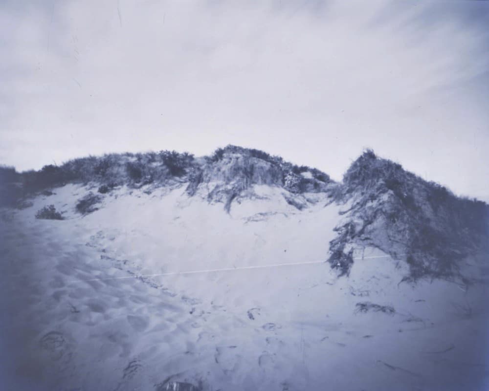 Works by Katja Kunz: "From the green" — photo 1