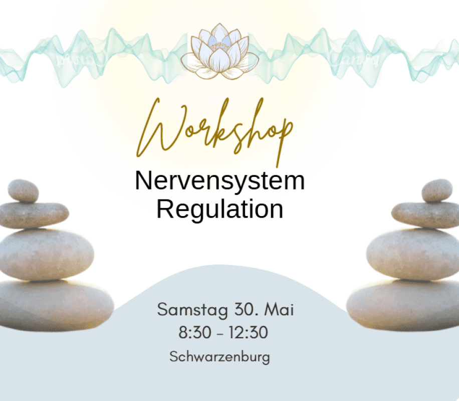 Workshop Nervous System Regulation — photo 1