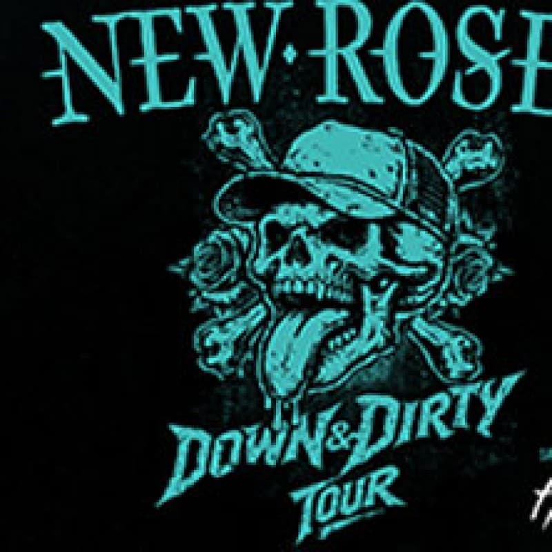 The New Roses — photo 1