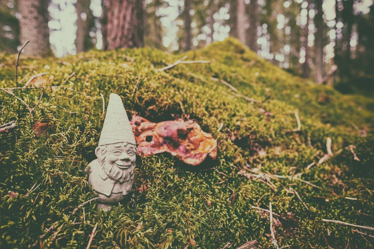 La Maison des Contes et Légendes: Enter the Secret World of the Little People — photo 1