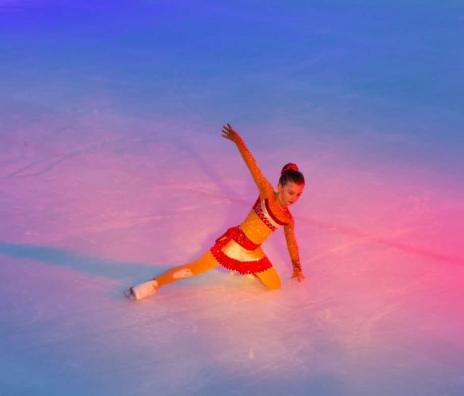 Ice Show — photo 1