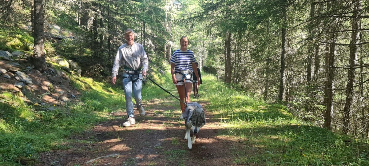 Family Husky Trekking — photo 1