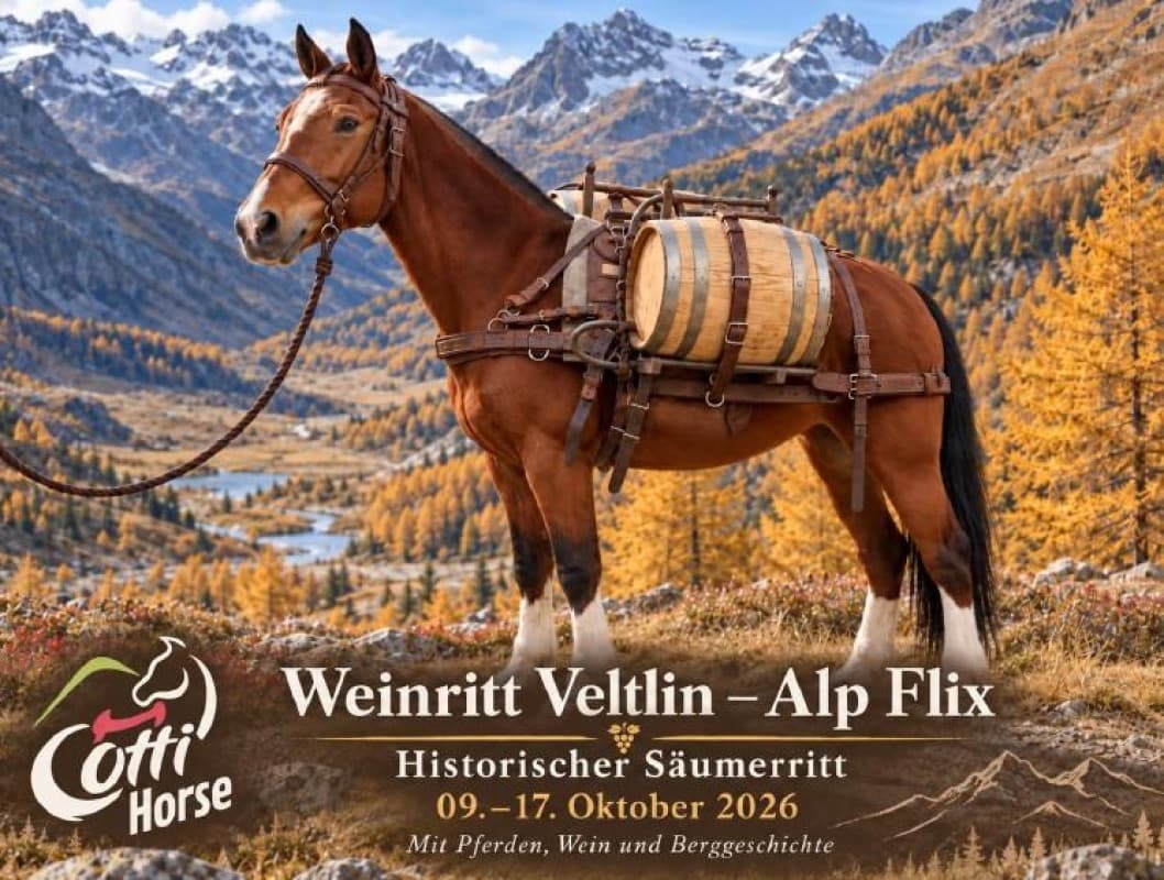 Weinritt Veltin - Alp Flix — photo 1