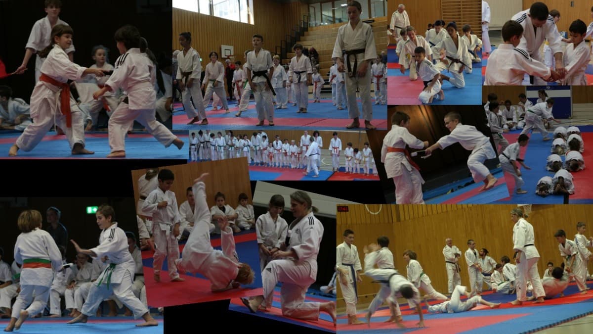 Grand Lotto of the Harmonie du Chablais and the Aikido Club — photo 1