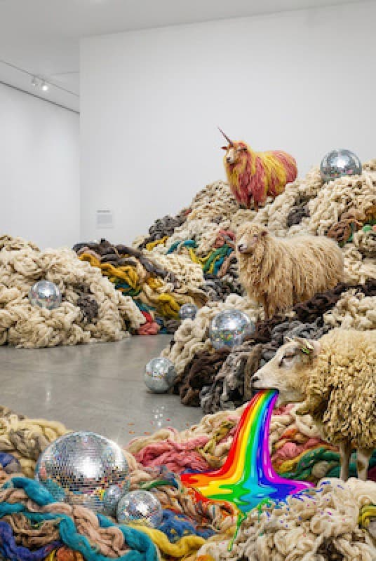A symphony of wool — photo 1