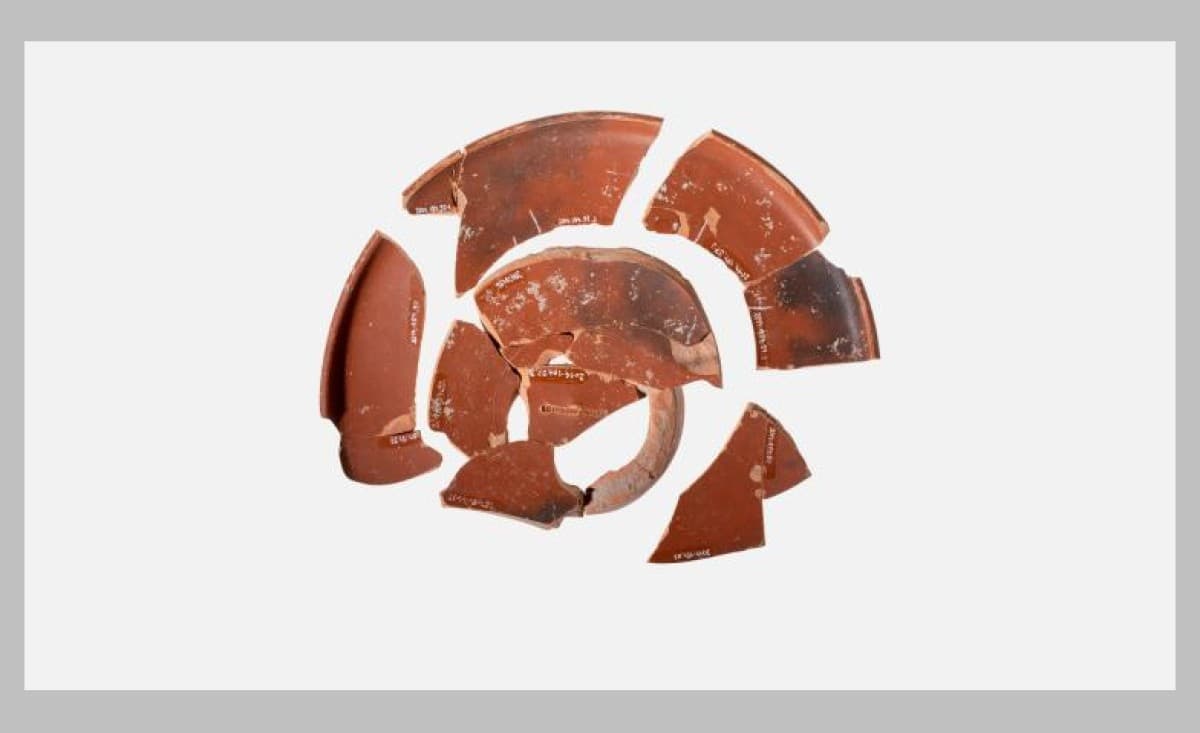 Archäologische Delikatessen über Mittag — photo 1