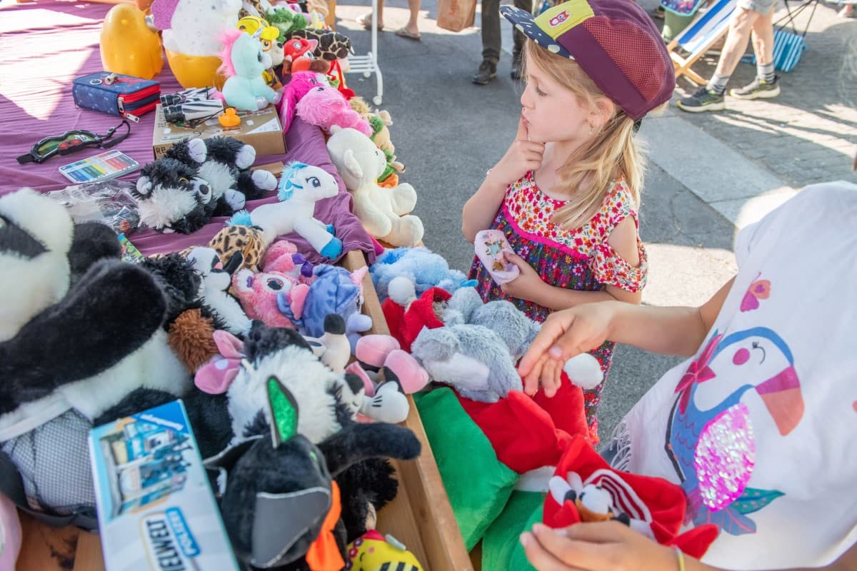 Flea Market on the Schoolhouse Break Yard — photo 1