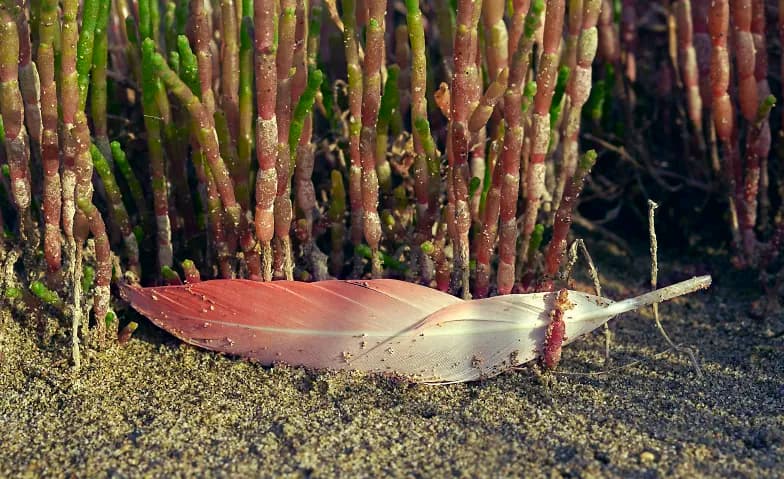 Christine Seiler - Spurensuche — photo 1