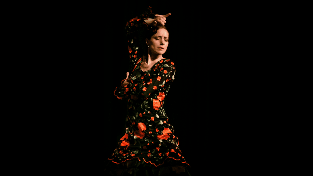 ECOS DEL SUR - Flamenco Dinner Show- LaDina Bucher - Restaurant Commihalle — photo 1