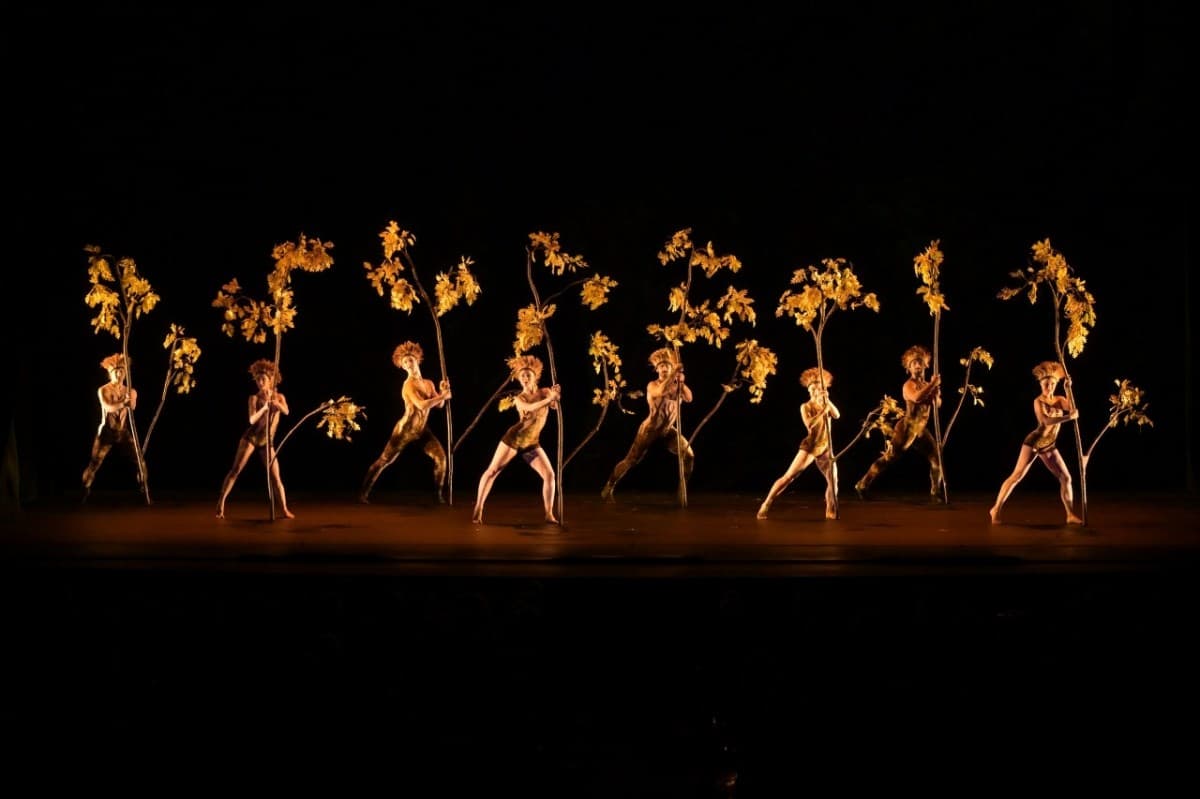 Momix - Botanica — photo 1