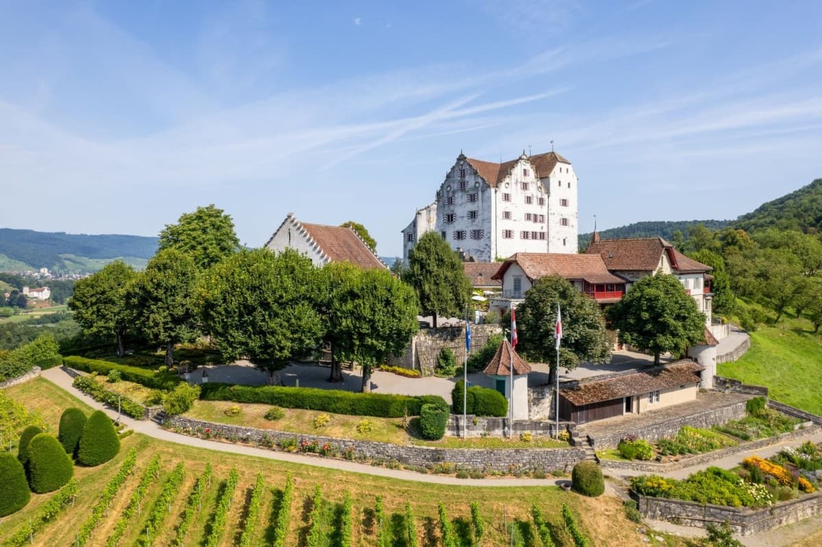 Schweizer Schlössertag — photo 1