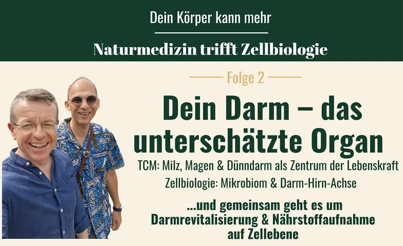 Dein Darm – das unterschätzte Organ — photo 1