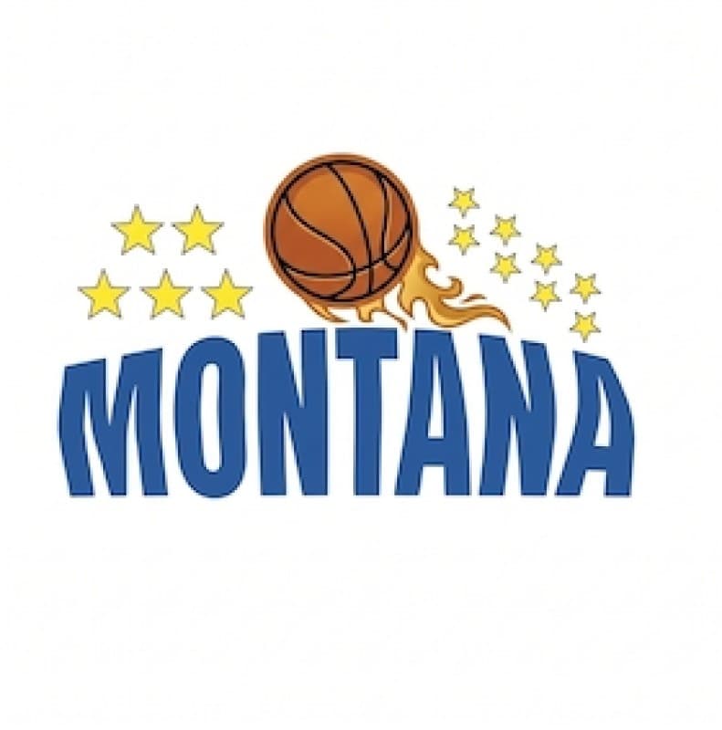 Rutronik Stars Keltern - BC Montana 2003 — photo 1