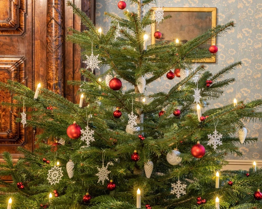 O Christmas Tree – Festive traditions and decorations through the ages — photo 1