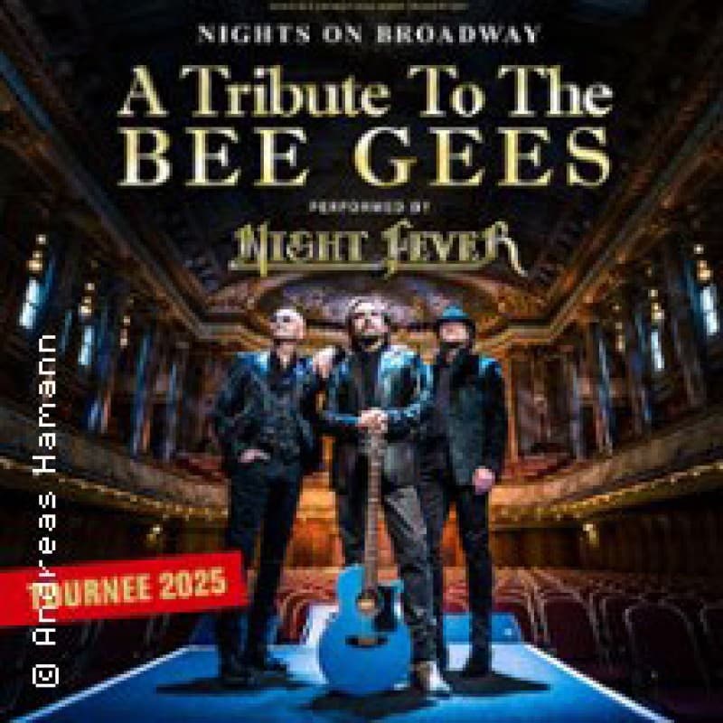 Nights on Broadway - A Tribute to the BEE GEES performed by NIGHT FEVER — photo 1