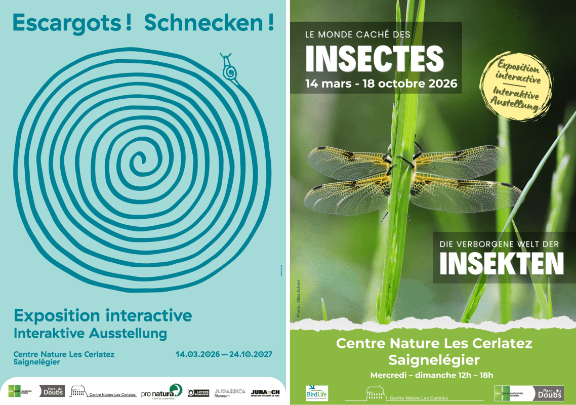 Insects and Snails: Two New Exhibitions at the Nature Center Les Cerlatez — photo 1