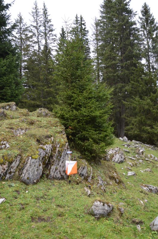 Orienteering Weekend in Sörenberg — photo 1