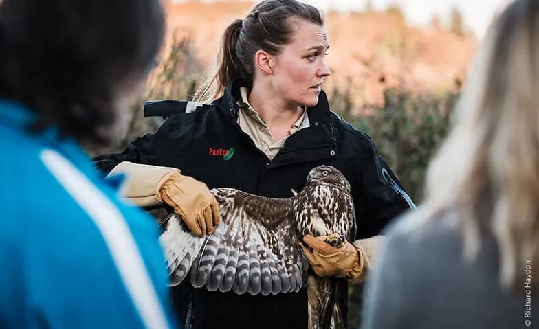 Lehrpersonen-Weiterbildung: Greifvögel und Eulen — photo 1