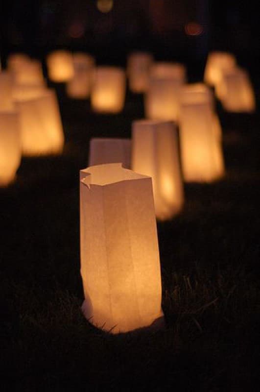 HELLE NACHT: LICHTERWEG DURCH DEN MUSEUMSPARK — photo 1