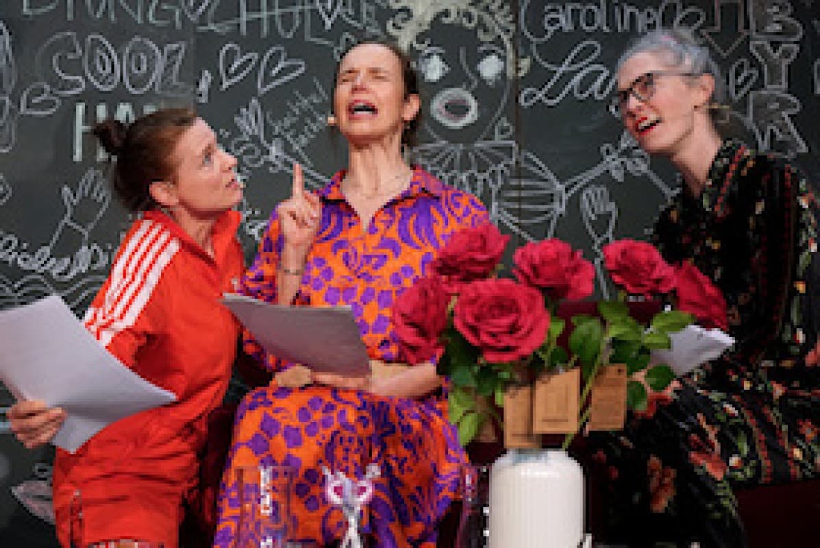 storytelling engines: Ich fühl’s nicht – a (very) theatrical comic reading after Liv Strömquist — photo 1