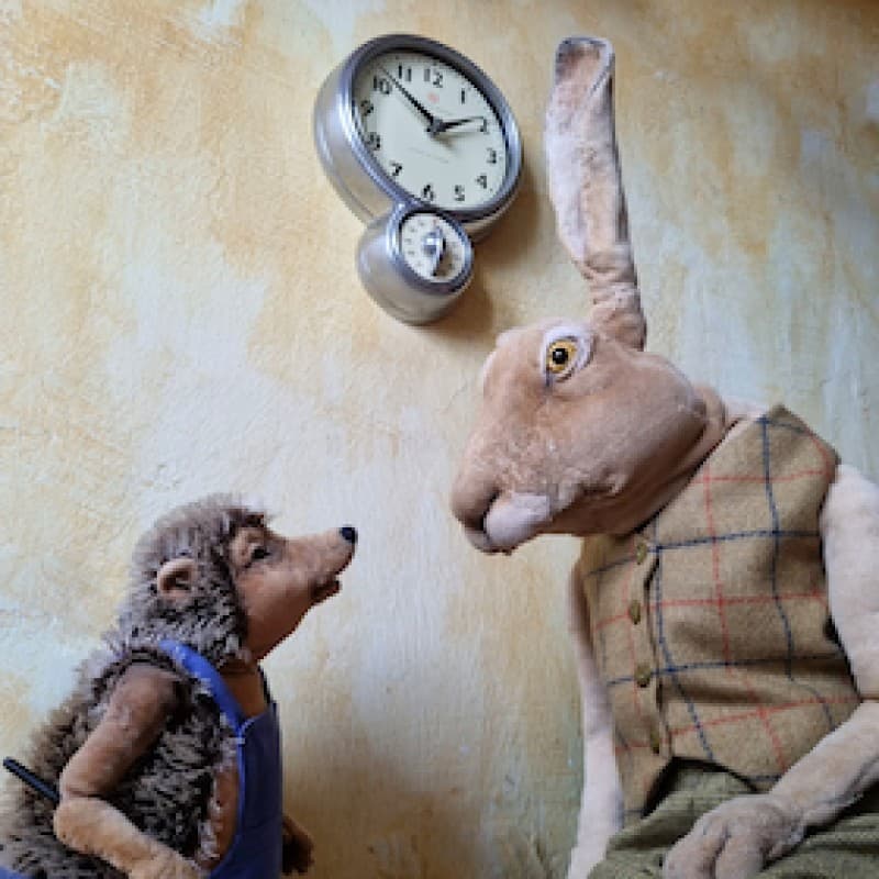 Hare & Hedgehog - Keep Your Eyes Open During the Long Run — photo 1