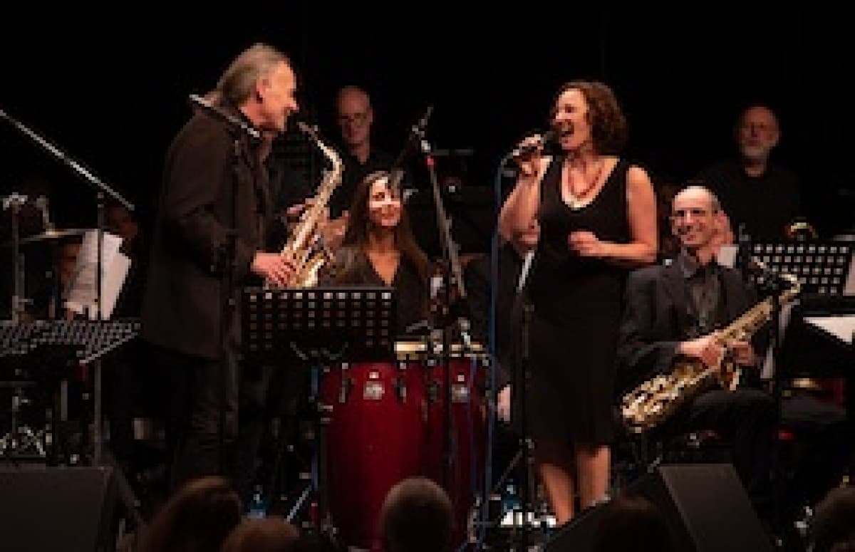 Rhein-Neckar Jazz Orchestra — photo 1