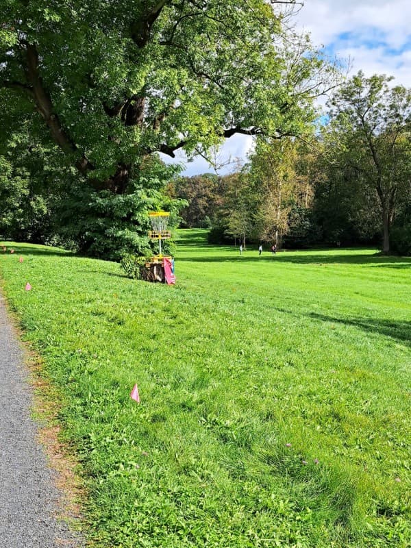 Discgolf v zámeckém parku Libochovice 2026 — photo 1