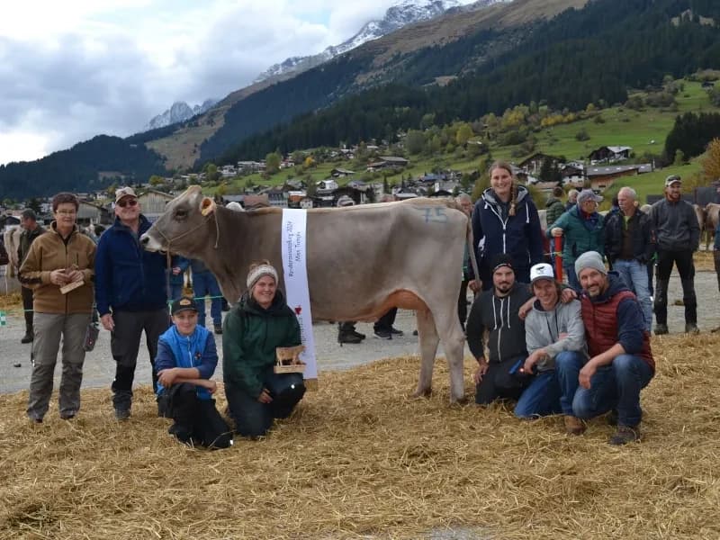 Cattle Exhibition / Exposiziun da genetschas in Brigels — photo 1