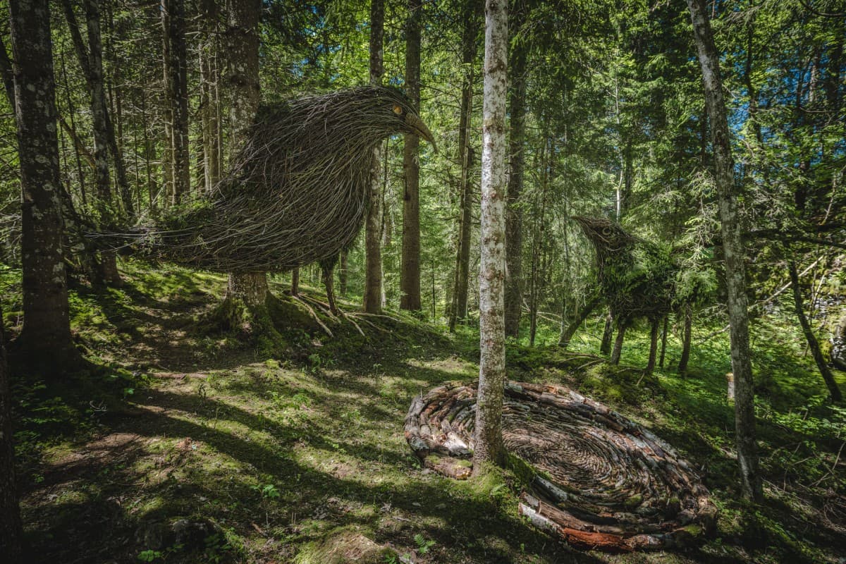 Land Art Grindelwald 2027 — photo 1